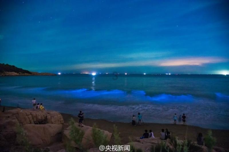 外贸一定要会英语吗?来看看这个