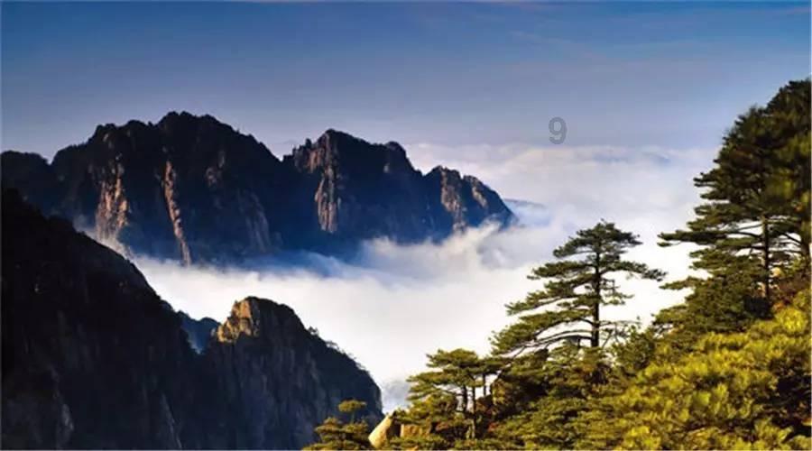 探索知识星球平台|草本祛痘,美丽成真?知识分享社区