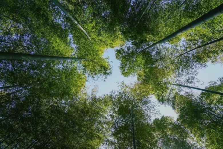幻想纹章3.2