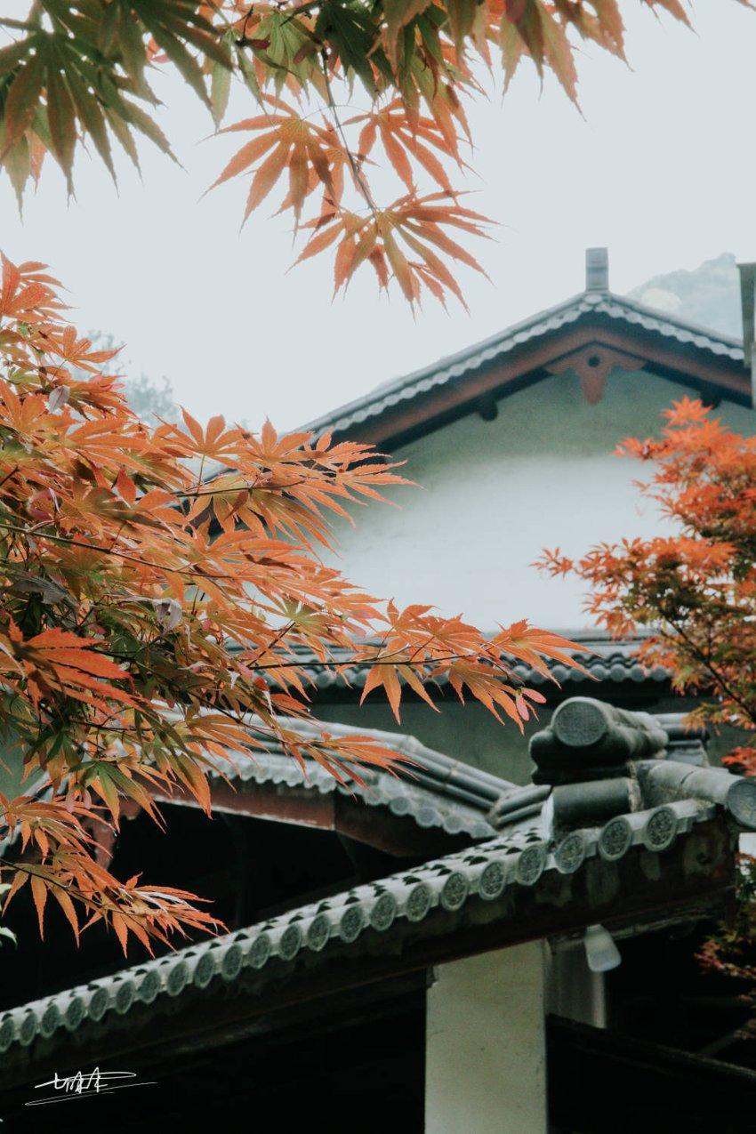 玩具士兵